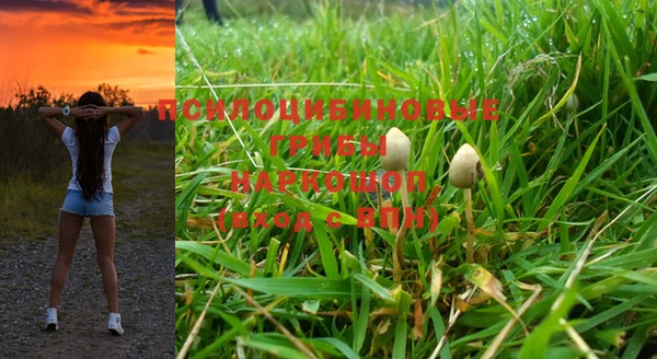 СК Козловка