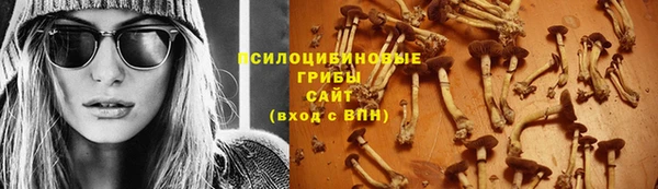марки nbome Козельск