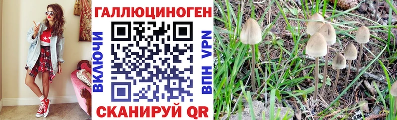 Галлюциногенные грибы ЛСД  Купить где  Аша 