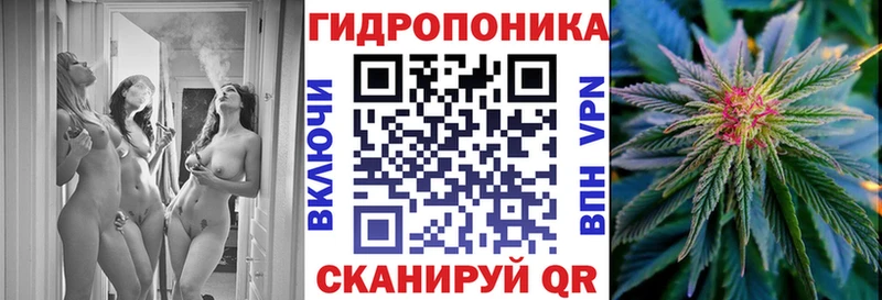 Купить  Аша  Каннабис гибрид 
